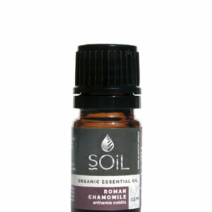 Organic Chamomile, Roman Essential Oil (Anthemis Nobilis ) 2.5ml